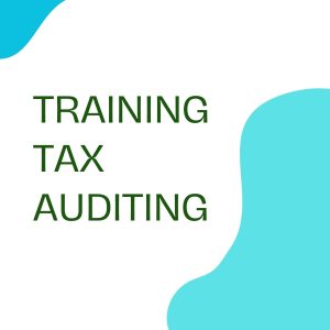 pelatihan TAX AUDITING online