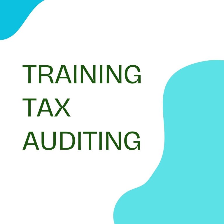 pelatihan TAX AUDITING online