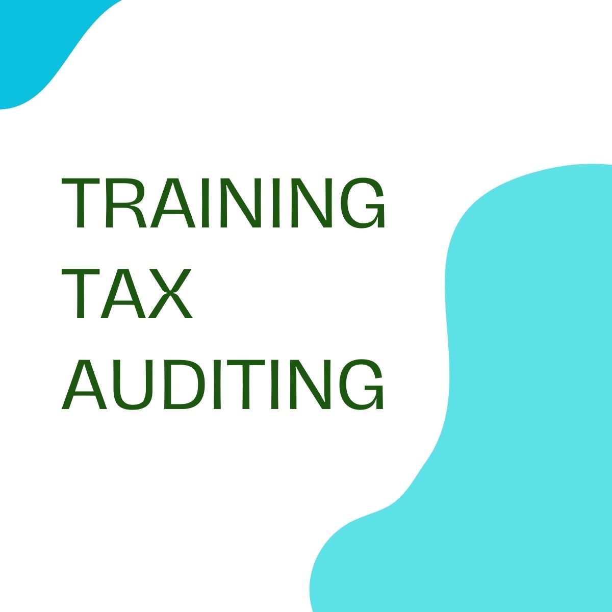 pelatihan TAX AUDITING online