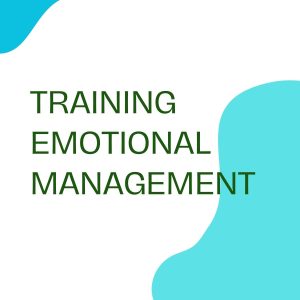 pelatihan Emotional Management online
