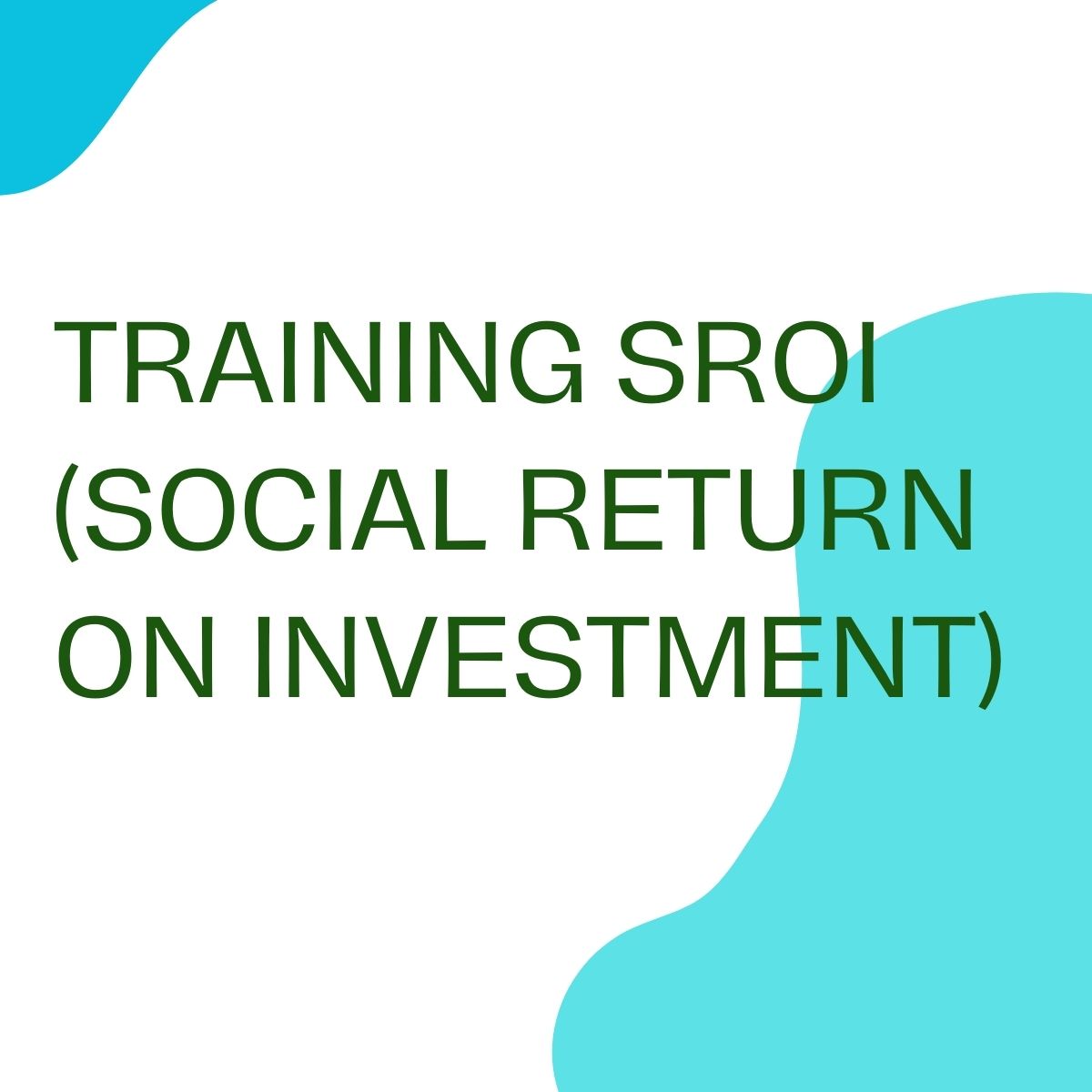 pelatihan SROI (SOCIAL RETURN ON INVESTMENT) online